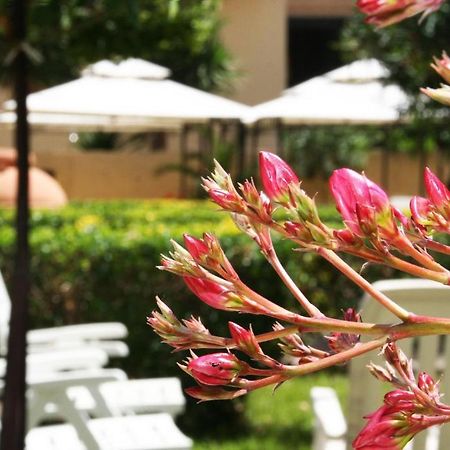 Solemare Accommodation Alghero Luaran gambar