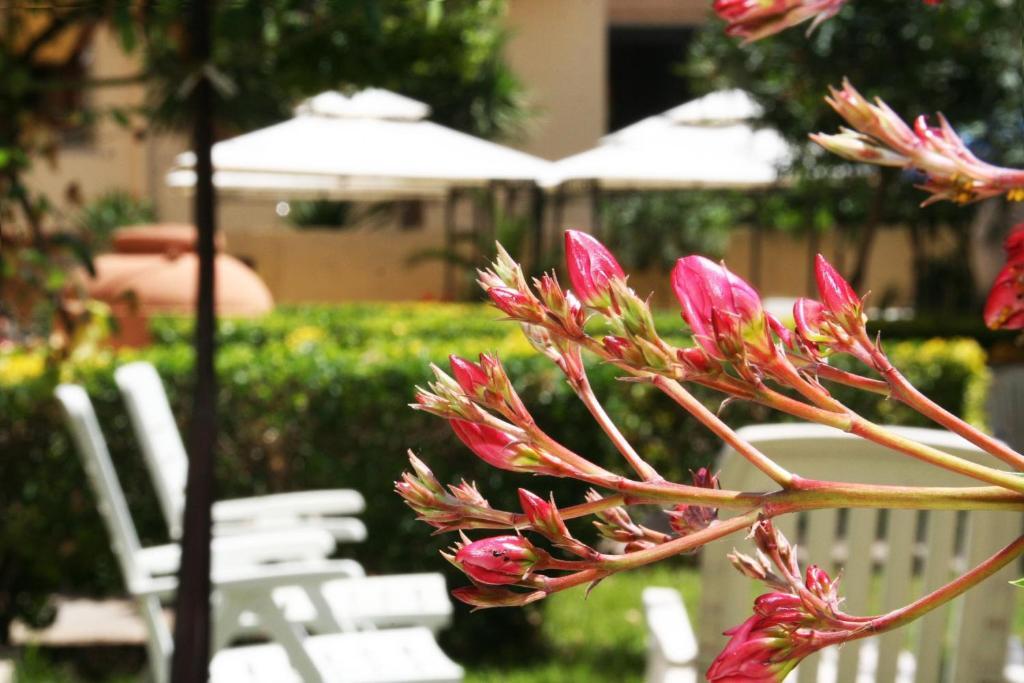 Solemare Accommodation Alghero Luaran gambar